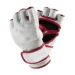 MMA Gloves